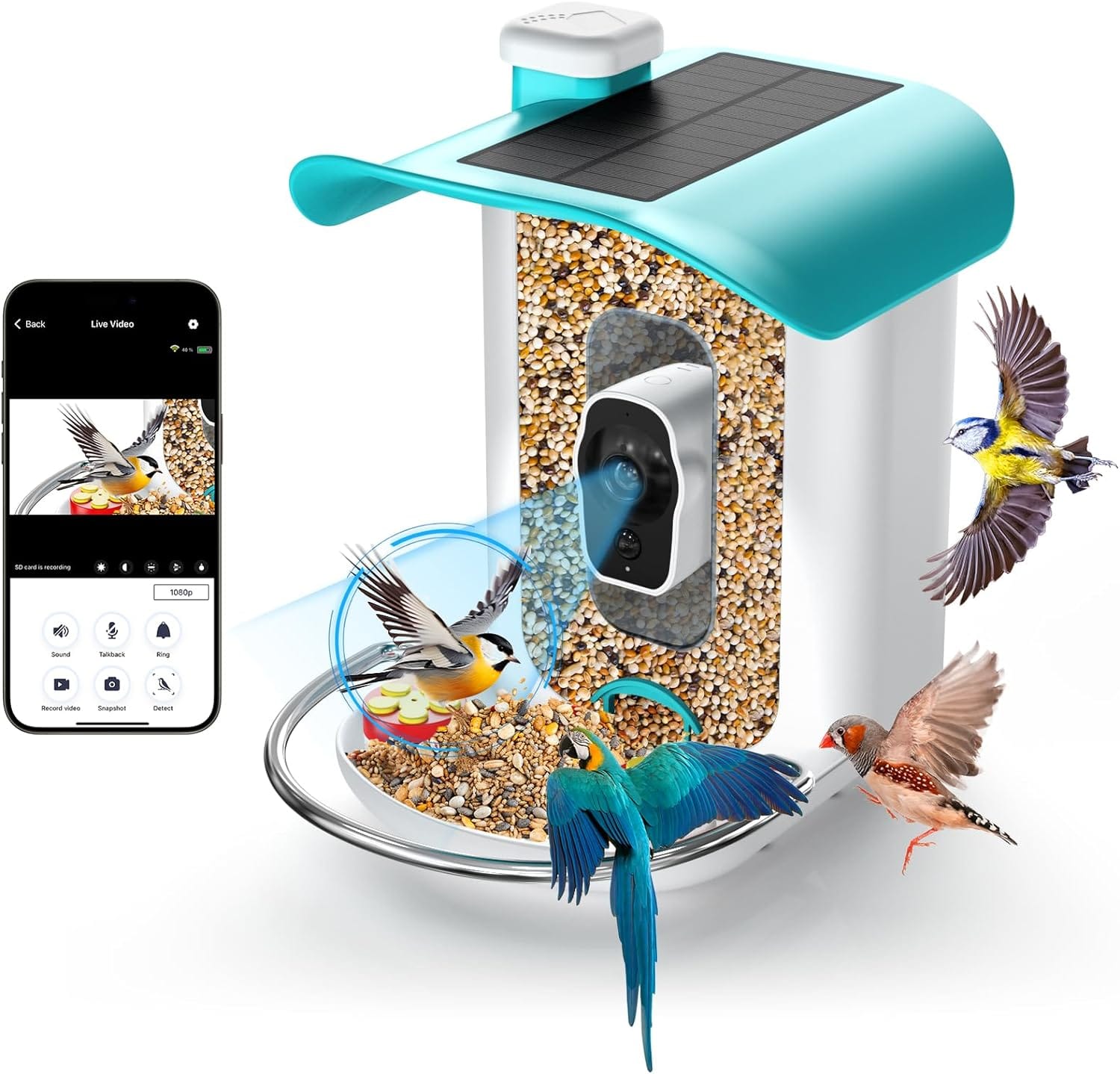Discover the Best Smart Bird Feeder: Our Top Pick for Nature Lovers