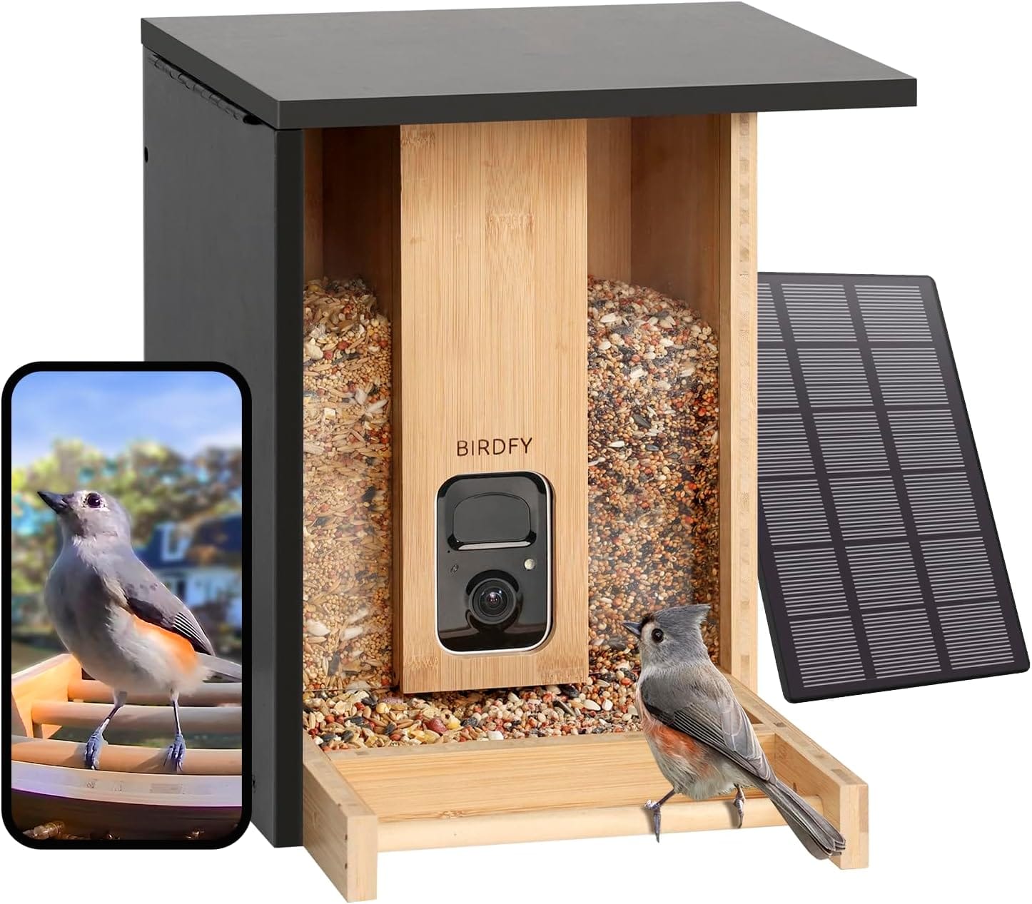 Revolutionize Your Bird-Watching Experience with these Best Smart AI Recognition Bird Feeder