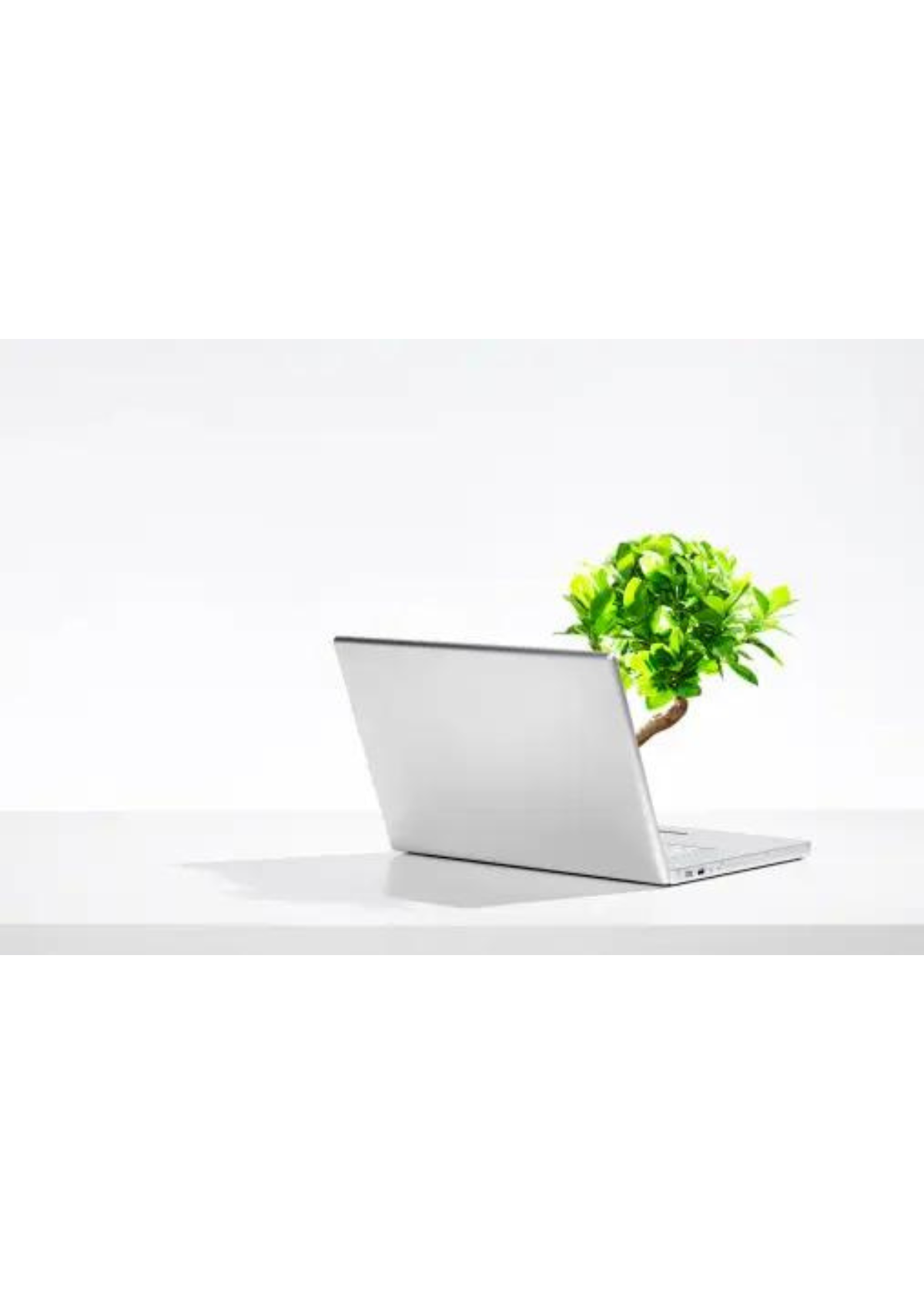 Top 7 Eco-Friendly Laptops: Sustainable Choices for the Conscious Consumer