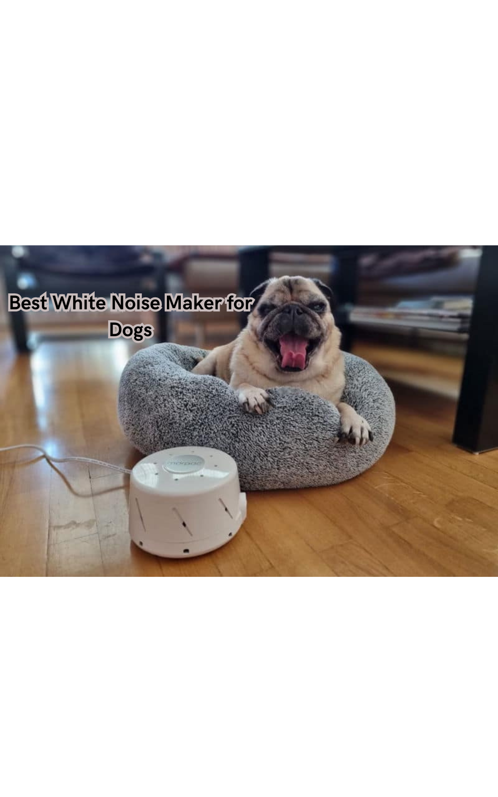 Say Goodbye to Sleepless Nights -Ultimate the Best White Noise Maker for Dogs