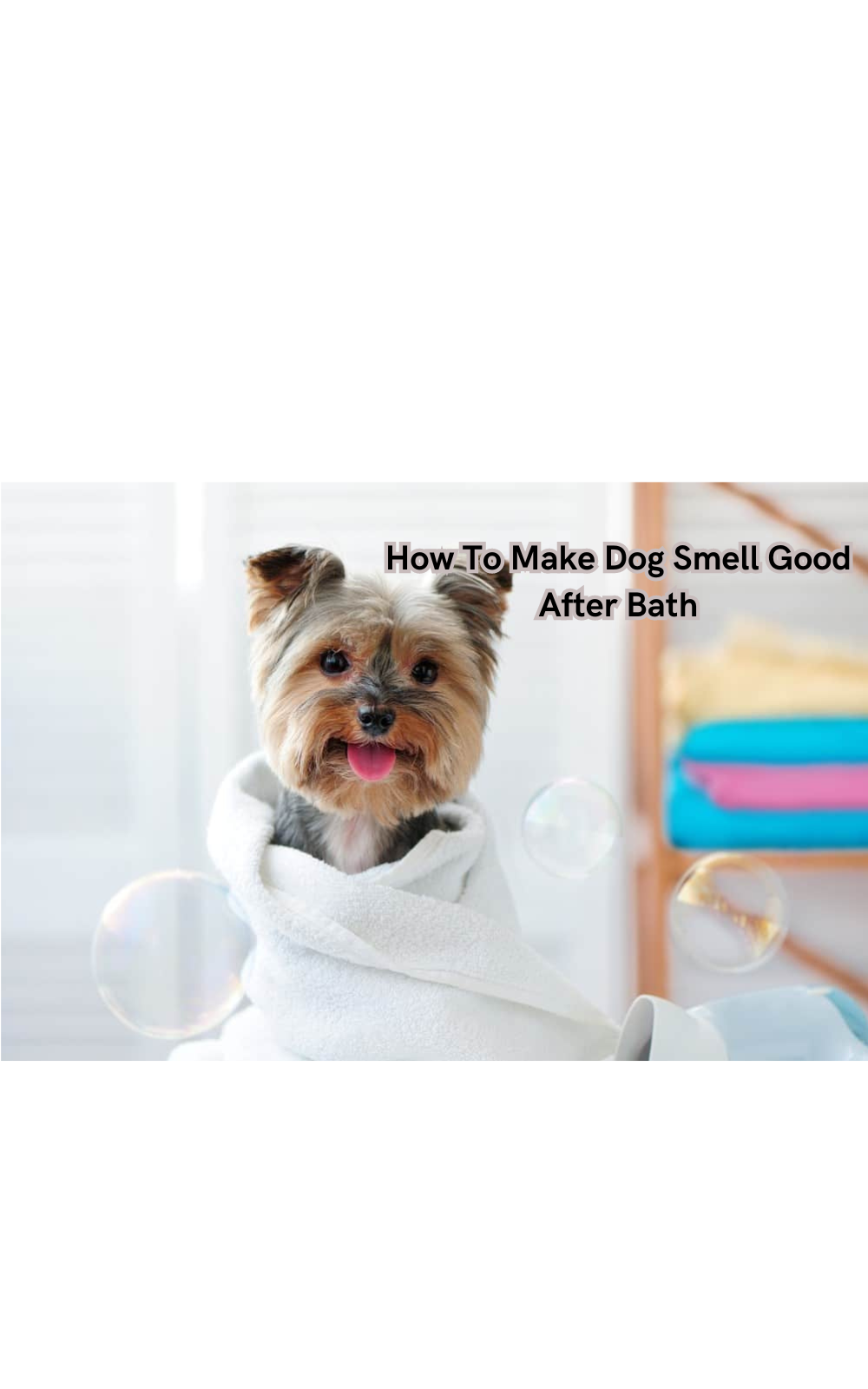 How To Make Dog Smell Good After Bath