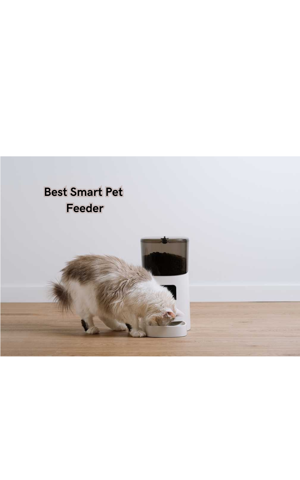 Discover the Future of Feeding Furry Friends: The Best Smart Pet Feeder