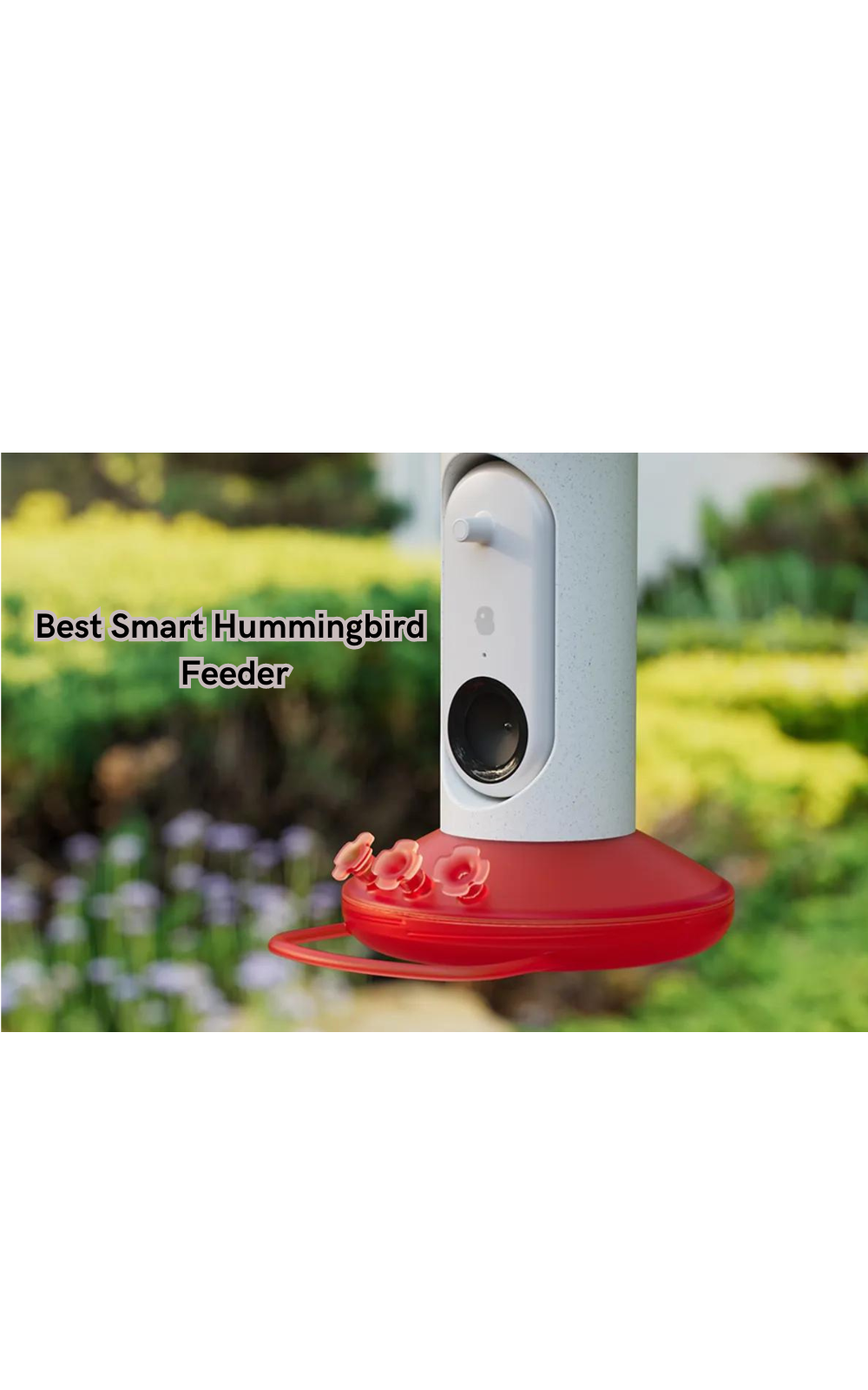 Discover the Ultimate Feeding Experience: The Best Smart Hummingbird Feeder