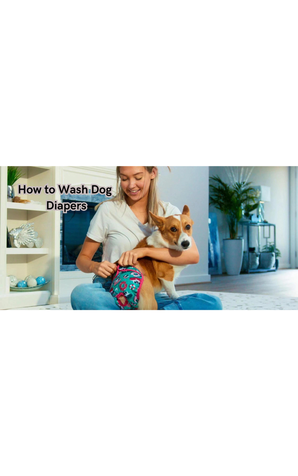 How to Wash Dog Diapers