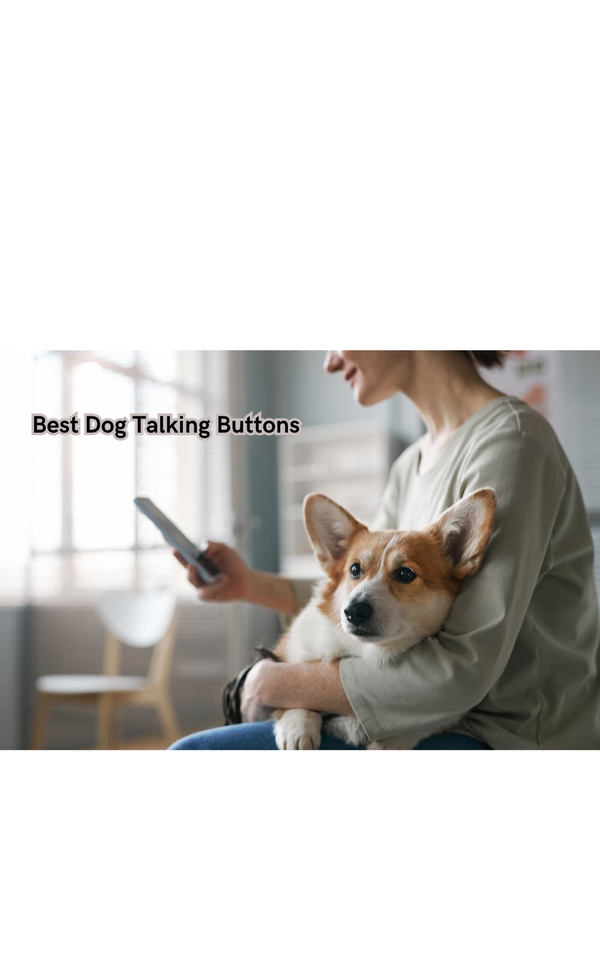 Say Goodbye to Barks and Woofs - Discover the Best Dog Talking Buttons