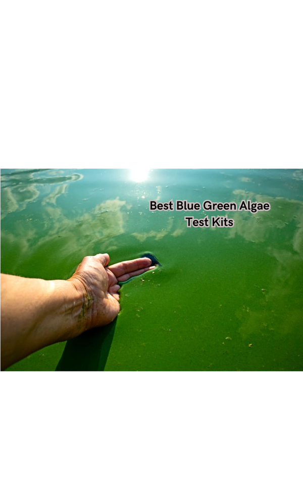 From Pool to Pond: Find the Best Blue Green Algae Test Kits Here