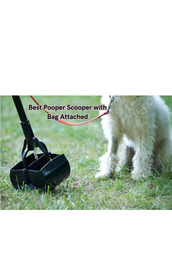 Say Goodbye to Messy Cleanup: The Best Pooper Scooper with Bag Attached