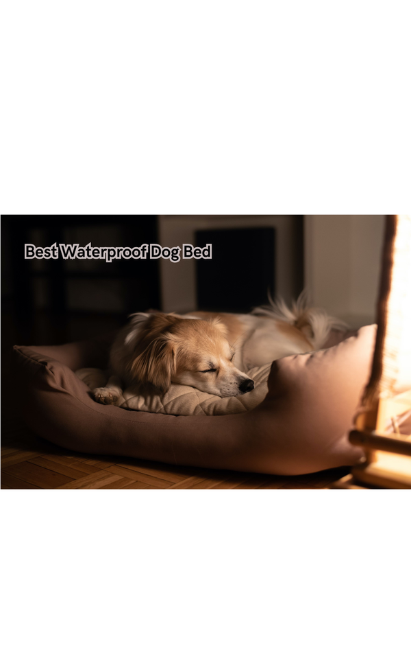 Discover the Secret to a Dry and Happy Pup: The Best Waterproof Dog Bed
