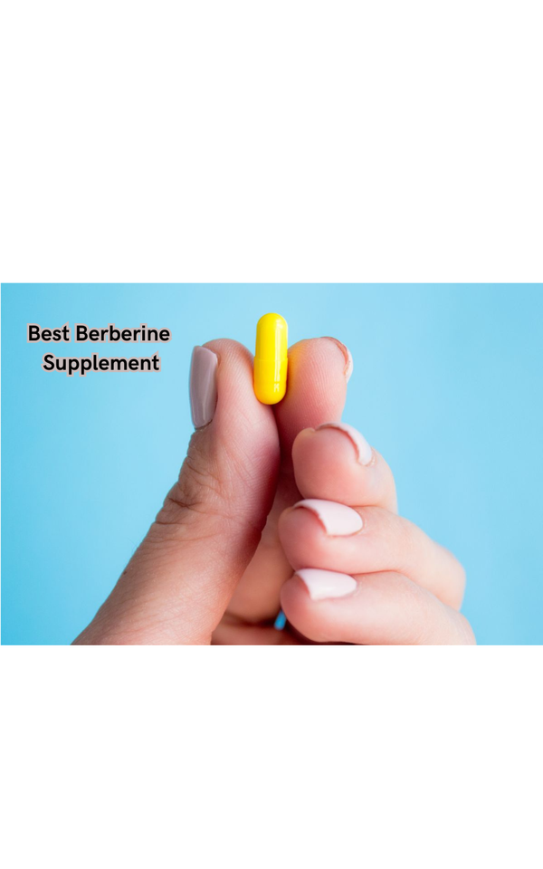 Top Picks: Finding the Best Berberine Supplement for Optimal Health in 2024