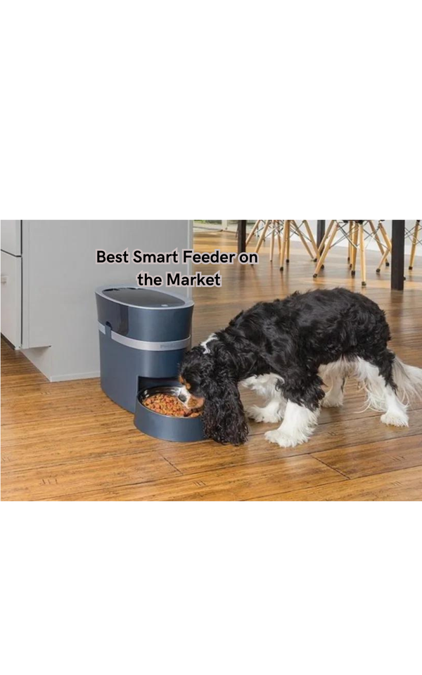 Say Goodbye to Messy Feedings: The Best Smart Feeder on the Market