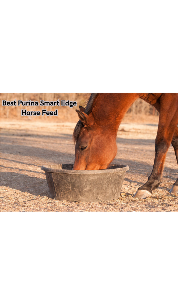 Unlock the Power of Performance: The Best Purina Smart Edge Horse Feed