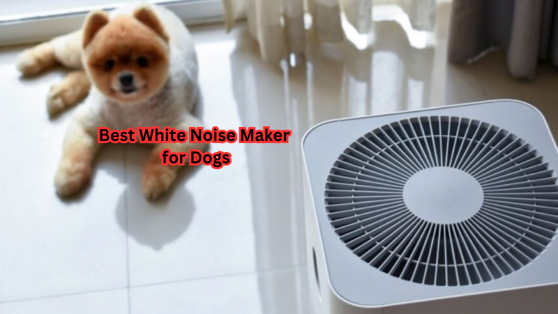 Say Goodbye to Stress: Best White Noise Maker for Dogs